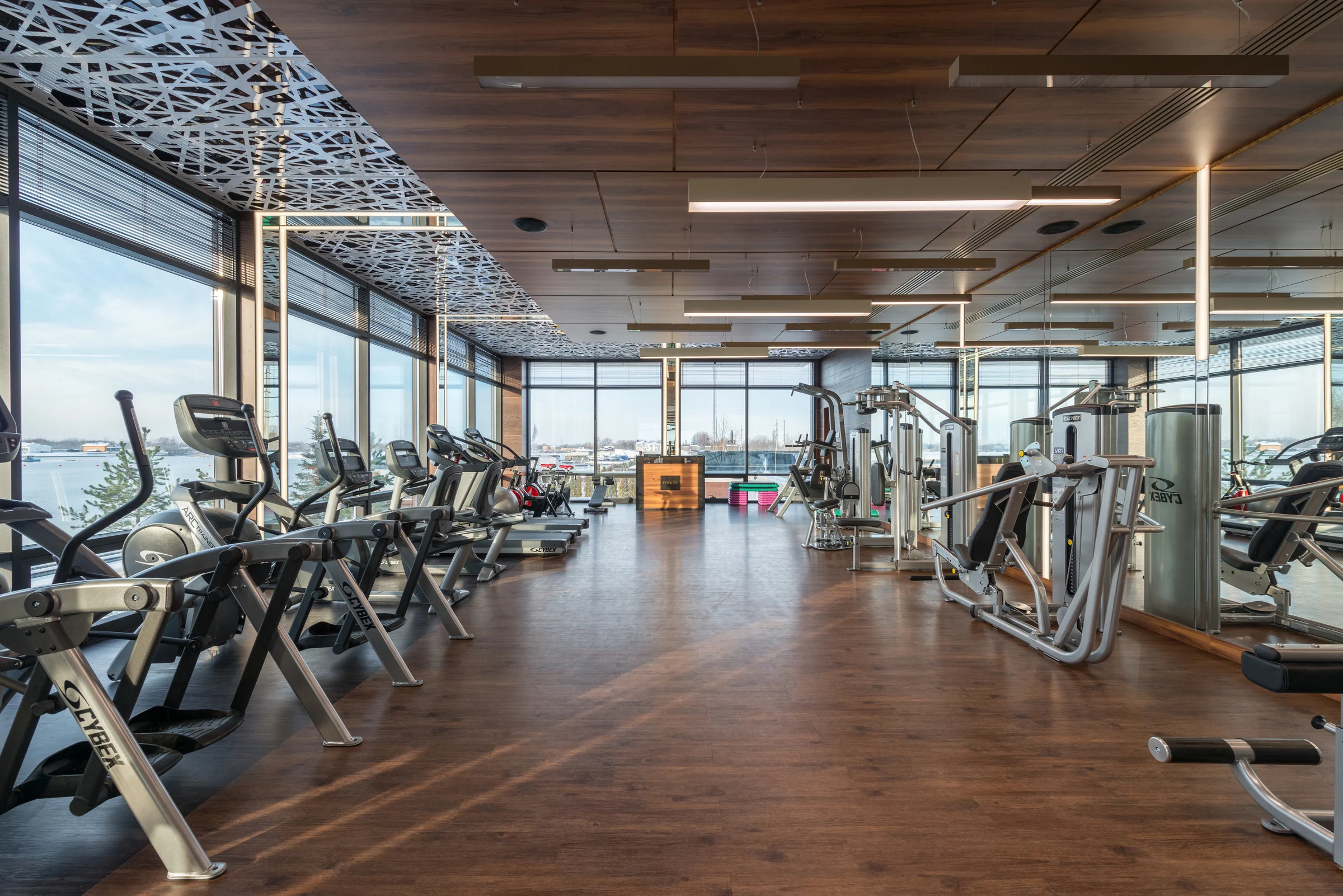 Gyms and Fitness