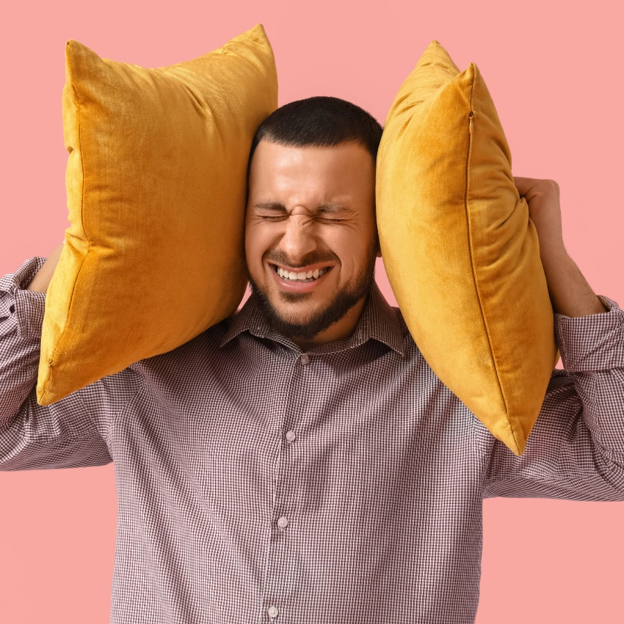 Noise Control and Sound Quality