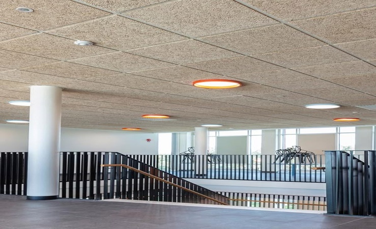 acoustic insulation ceiling