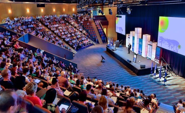 Line Array System Solutions for Large Venues in Pakistan