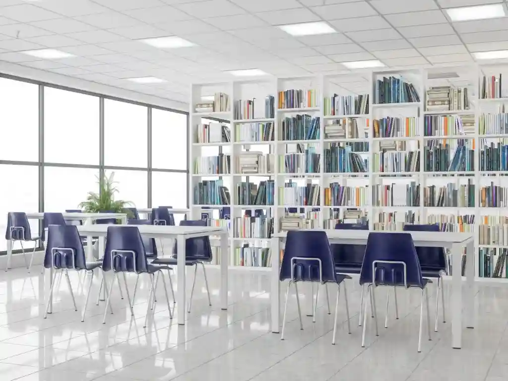 professional services