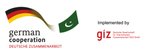 GIZ logo